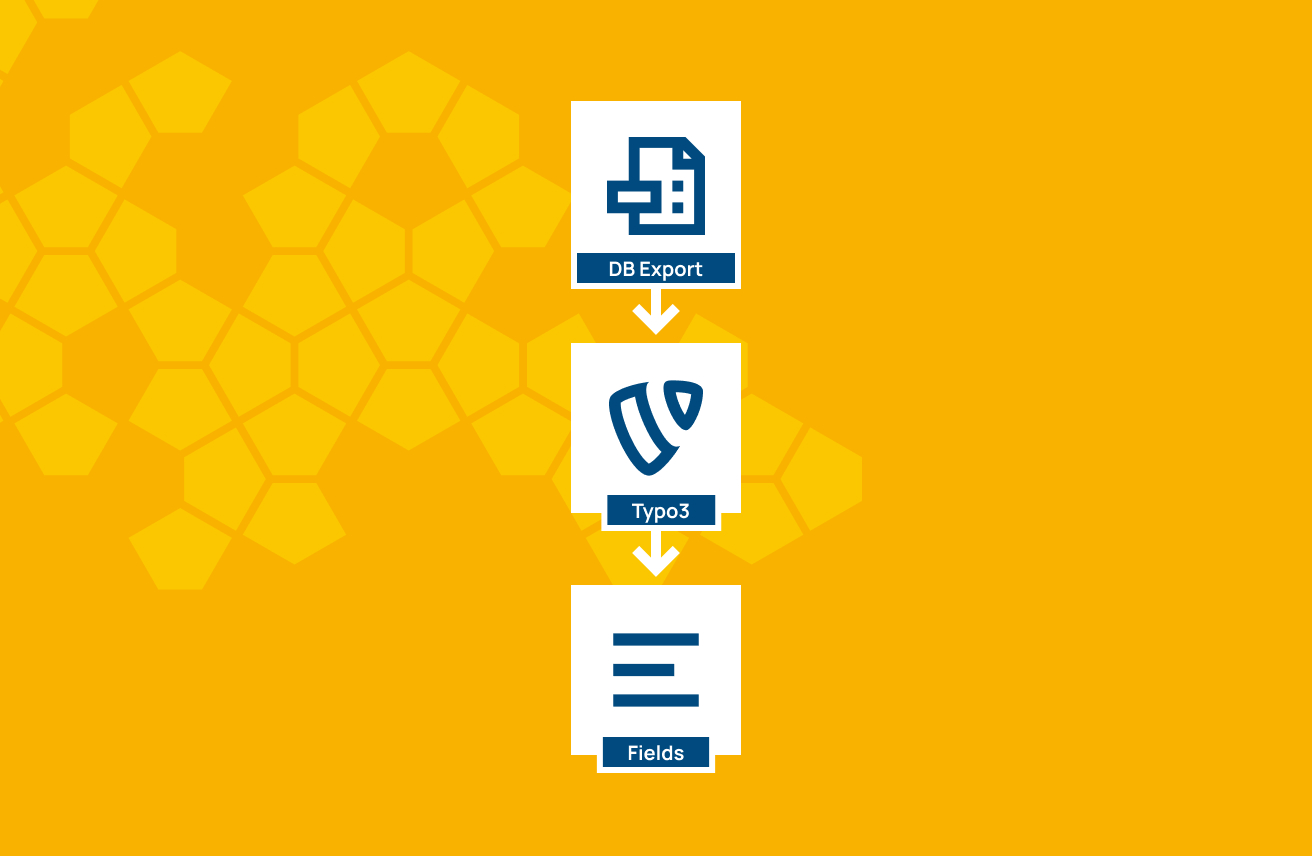 Prozessgrafik mit Datenfluss von DB Export über TYPO3 zu Fields auf gelbem Hintergrund